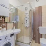 Center Penthouse Apartament Pula